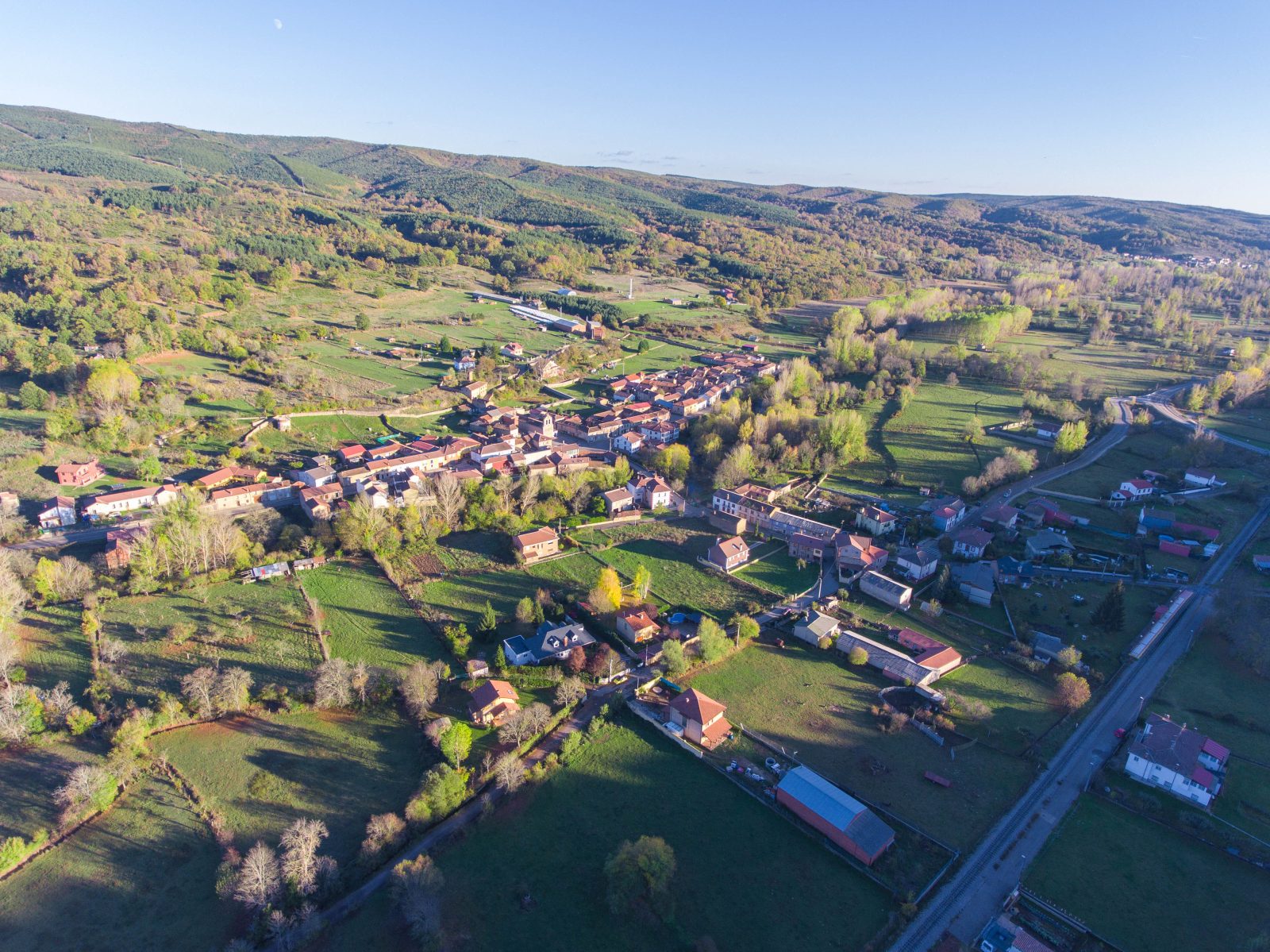 Pardavé