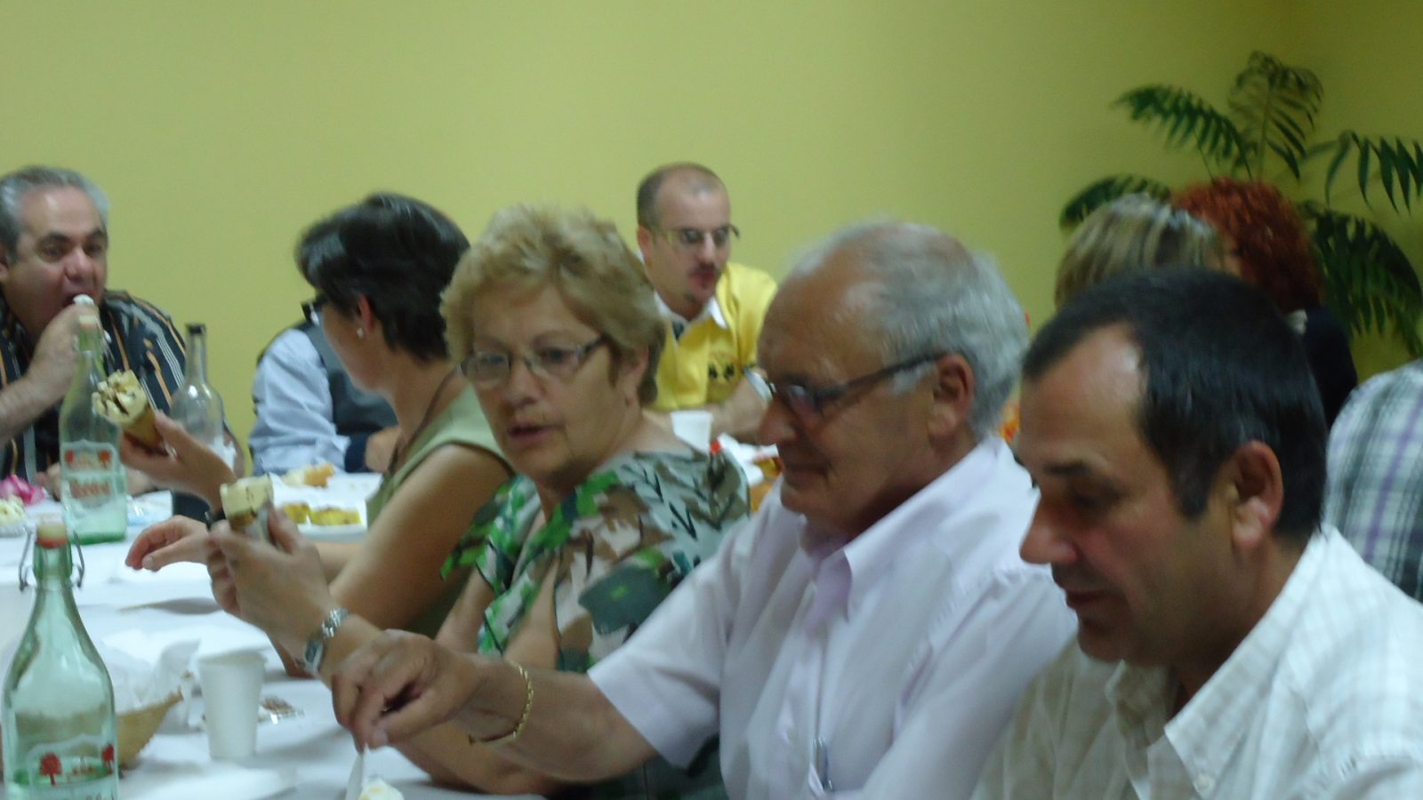 Fiesta de Santa Bárbara